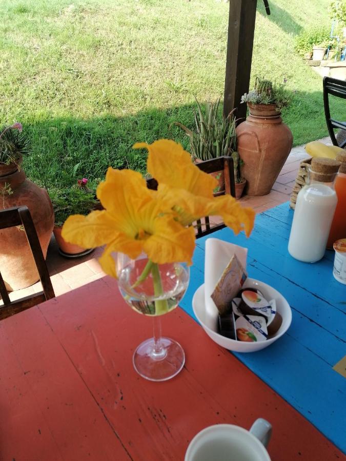 Agriturismo Campolungo Sant'Ermo Ngoại thất bức ảnh
